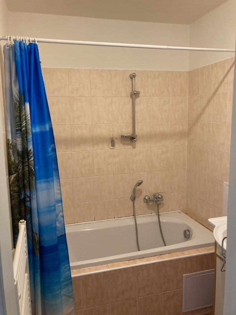 1 bedroom with open-plan kitchen flat to rent, 56 m², U Kněžské louky, Prague, Prague 1 bedroom with open-plan kitchen flat to rent, 56 m², U Kněžské louky, Prague, Prague