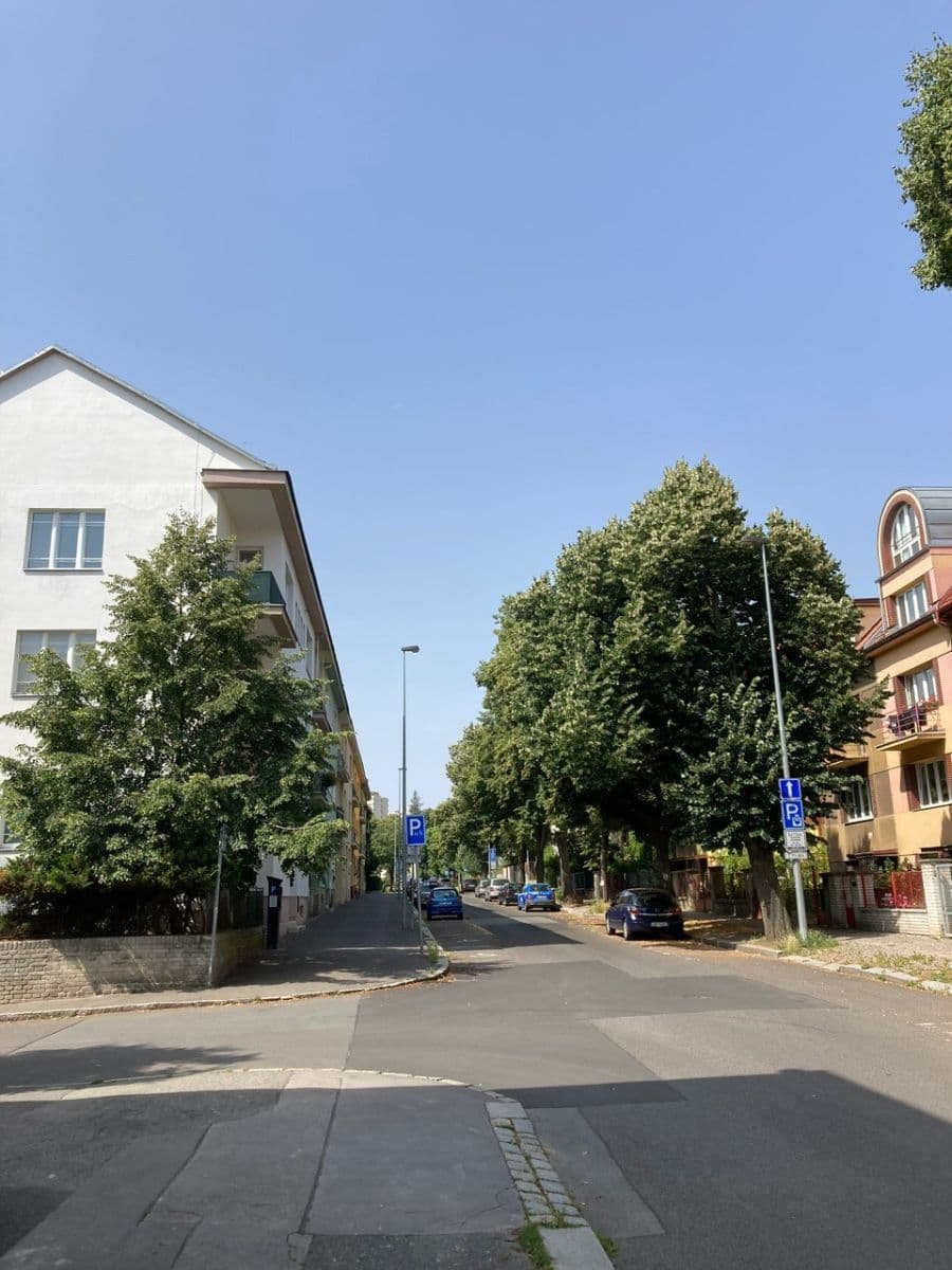 1 bedroom with open-plan kitchen flat to rent, 56 m², U Kněžské louky, Prague, Prague 1 bedroom with open-plan kitchen flat to rent, 56 m², U Kněžské louky, Prague, Prague