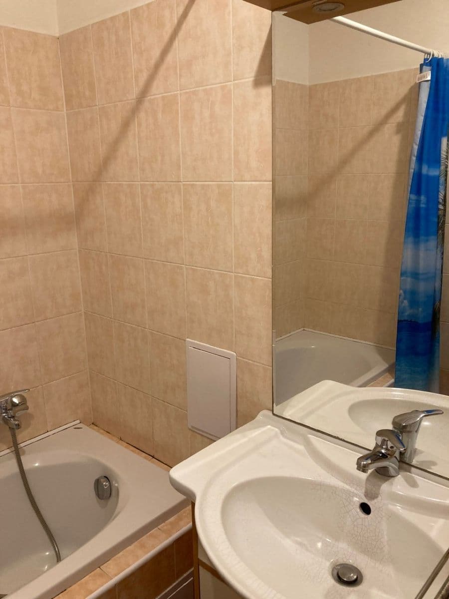 1 bedroom with open-plan kitchen flat to rent, 56 m², U Kněžské louky, Prague, Prague 1 bedroom with open-plan kitchen flat to rent, 56 m², U Kněžské louky, Prague, Prague