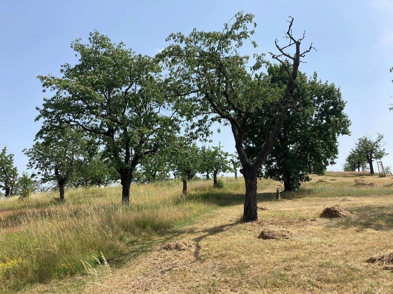 1 bedroom with open-plan kitchen flat to rent, 56 m², U Kněžské louky, Prague, Prague 1 bedroom with open-plan kitchen flat to rent, 56 m², U Kněžské louky, Prague, Prague