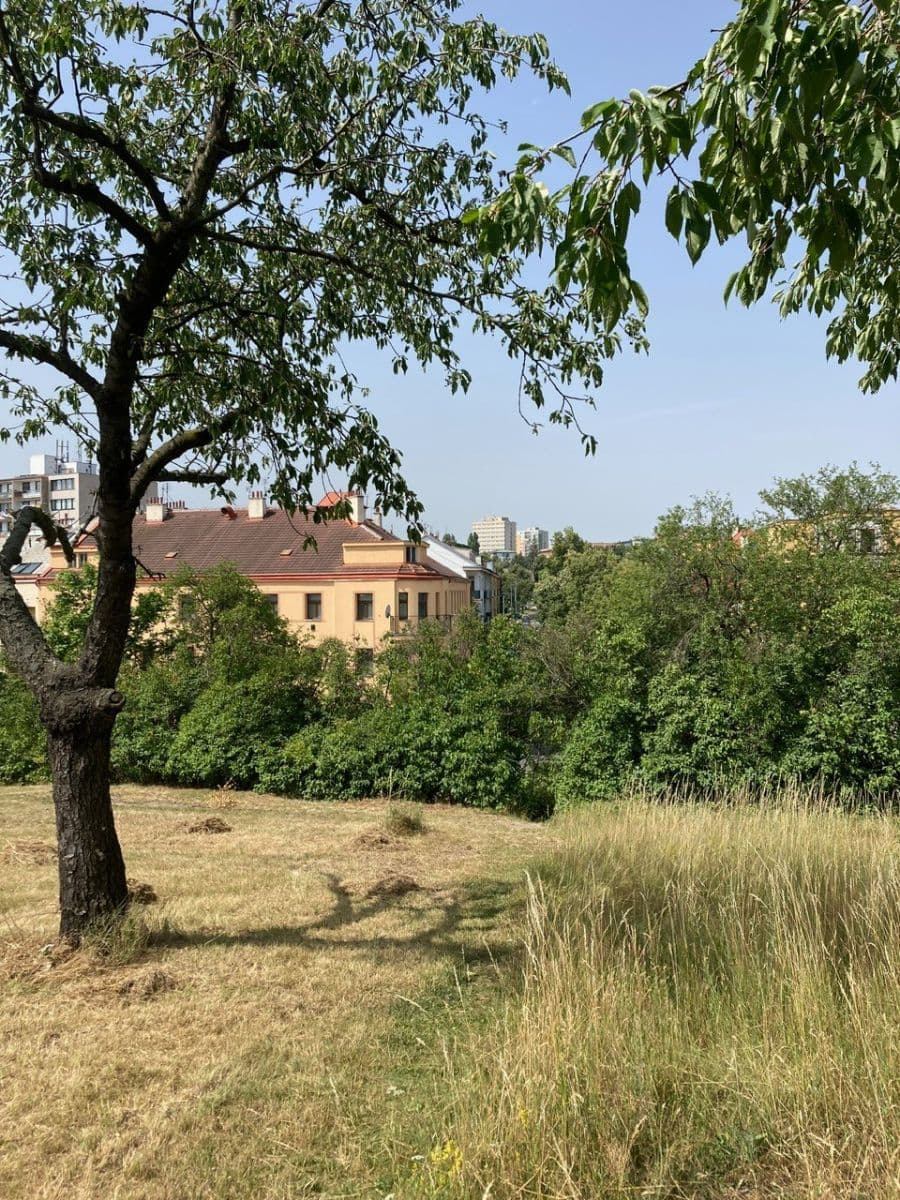 1 bedroom with open-plan kitchen flat to rent, 56 m², U Kněžské louky, Prague, Prague 1 bedroom with open-plan kitchen flat to rent, 56 m², U Kněžské louky, Prague, Prague