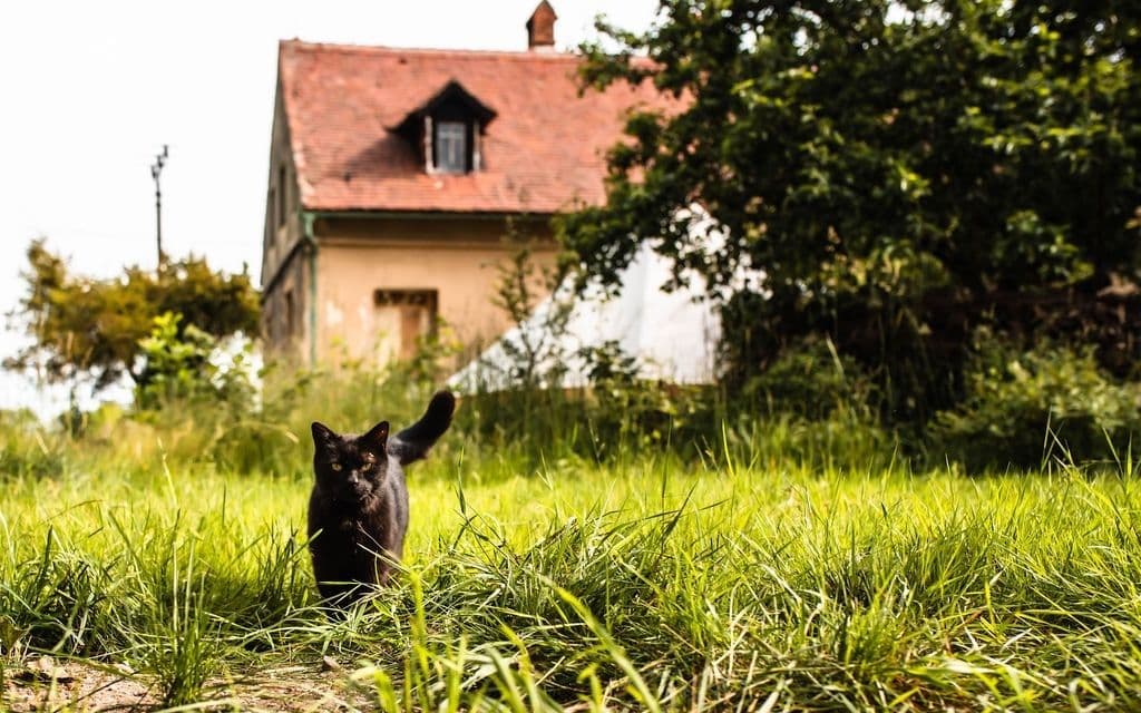 house for sale, 420 m², Jindřichovice pod Smrkem, Liberecký Region house for sale, 420 m², Jindřichovice pod Smrkem, Liberecký Region