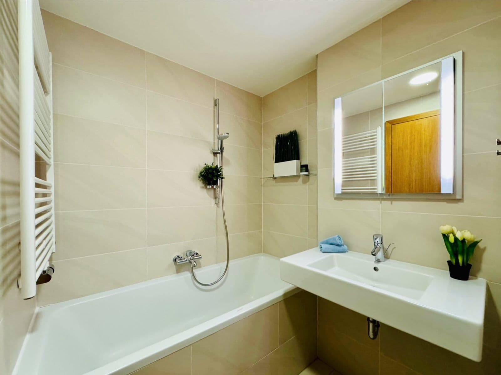 2 bedroom with open-plan kitchen flat for sale, 88 m², Ke Kapslovně, Prague, Prague 2 bedroom with open-plan kitchen flat for sale, 88 m², Ke Kapslovně, Prague, Prague