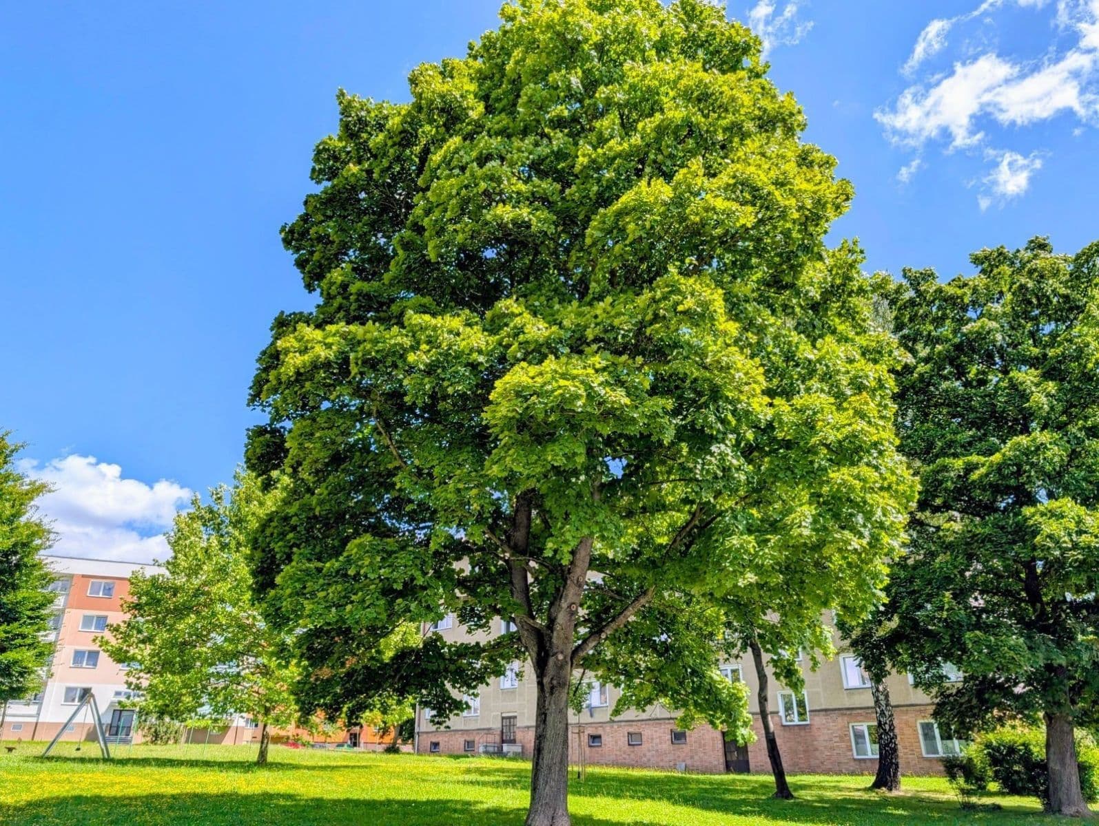 3 bedroom flat to rent, 72 m², Na Nábřeží, Havířov, Moravskoslezský Region 3 bedroom flat to rent, 72 m², Na Nábřeží, Havířov, Moravskoslezský Region