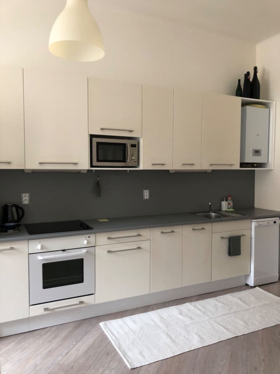 1 bedroom with open-plan kitchen flat to rent, 43 m², Na Bělidle, Prague, Prague 1 bedroom with open-plan kitchen flat to rent, 43 m², Na Bělidle, Prague, Prague