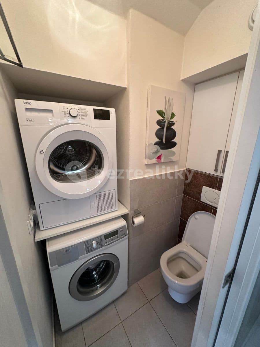 1 bedroom with open-plan kitchen flat to rent, 47 m², Hradešínská, Prague, Prague 1 bedroom with open-plan kitchen flat to rent, 47 m², Hradešínská, Prague, Prague