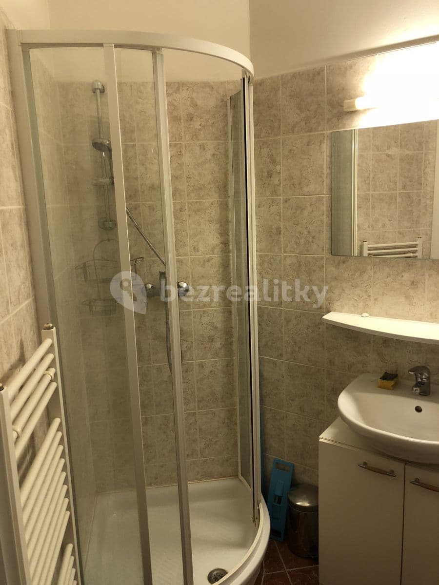 1 bedroom with open-plan kitchen flat to rent, 35 m², Brno, Jihomoravský Region 1 bedroom with open-plan kitchen flat to rent, 35 m², Brno, Jihomoravský Region