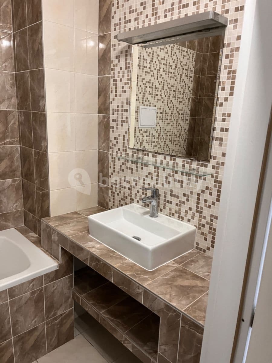 1 bedroom with open-plan kitchen flat to rent, 50 m², Hartigova, Prague, Prague 1 bedroom with open-plan kitchen flat to rent, 50 m², Hartigova, Prague, Prague