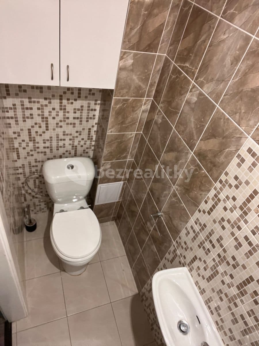 1 bedroom with open-plan kitchen flat to rent, 50 m², Hartigova, Prague, Prague 1 bedroom with open-plan kitchen flat to rent, 50 m², Hartigova, Prague, Prague