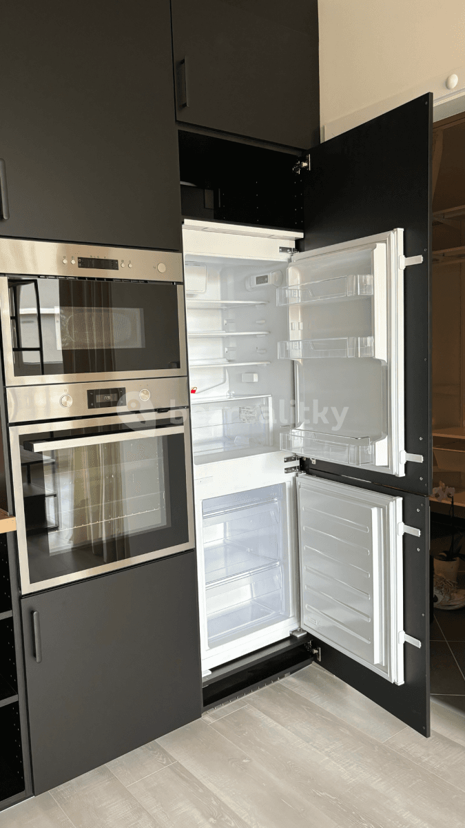 1 bedroom with open-plan kitchen flat to rent, 43 m², Thomasova, Prague, Prague 1 bedroom with open-plan kitchen flat to rent, 43 m², Thomasova, Prague, Prague