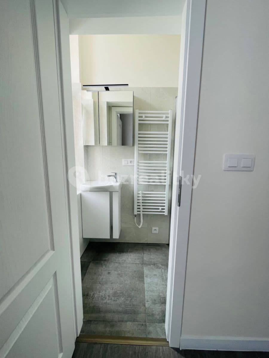 1 bedroom with open-plan kitchen flat to rent, 40 m², Na Laurové, Prague, Prague 1 bedroom with open-plan kitchen flat to rent, 40 m², Na Laurové, Prague, Prague