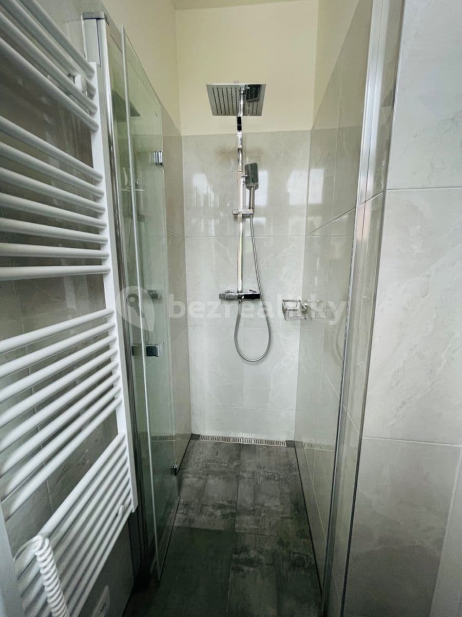 1 bedroom with open-plan kitchen flat to rent, 40 m², Na Laurové, Prague, Prague 1 bedroom with open-plan kitchen flat to rent, 40 m², Na Laurové, Prague, Prague