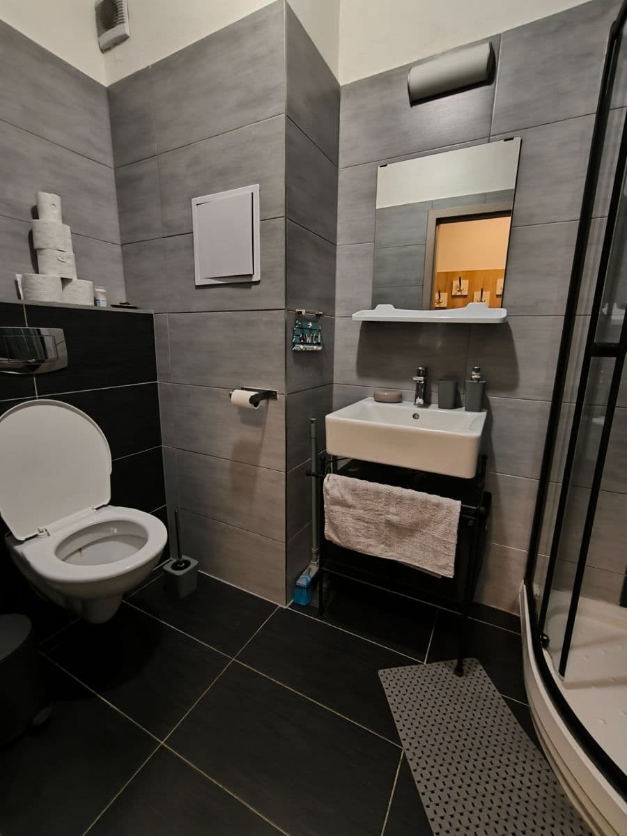 1 bedroom with open-plan kitchen flat to rent, 44 m², Všemina, Zlínský Region 1 bedroom with open-plan kitchen flat to rent, 44 m², Všemina, Zlínský Region