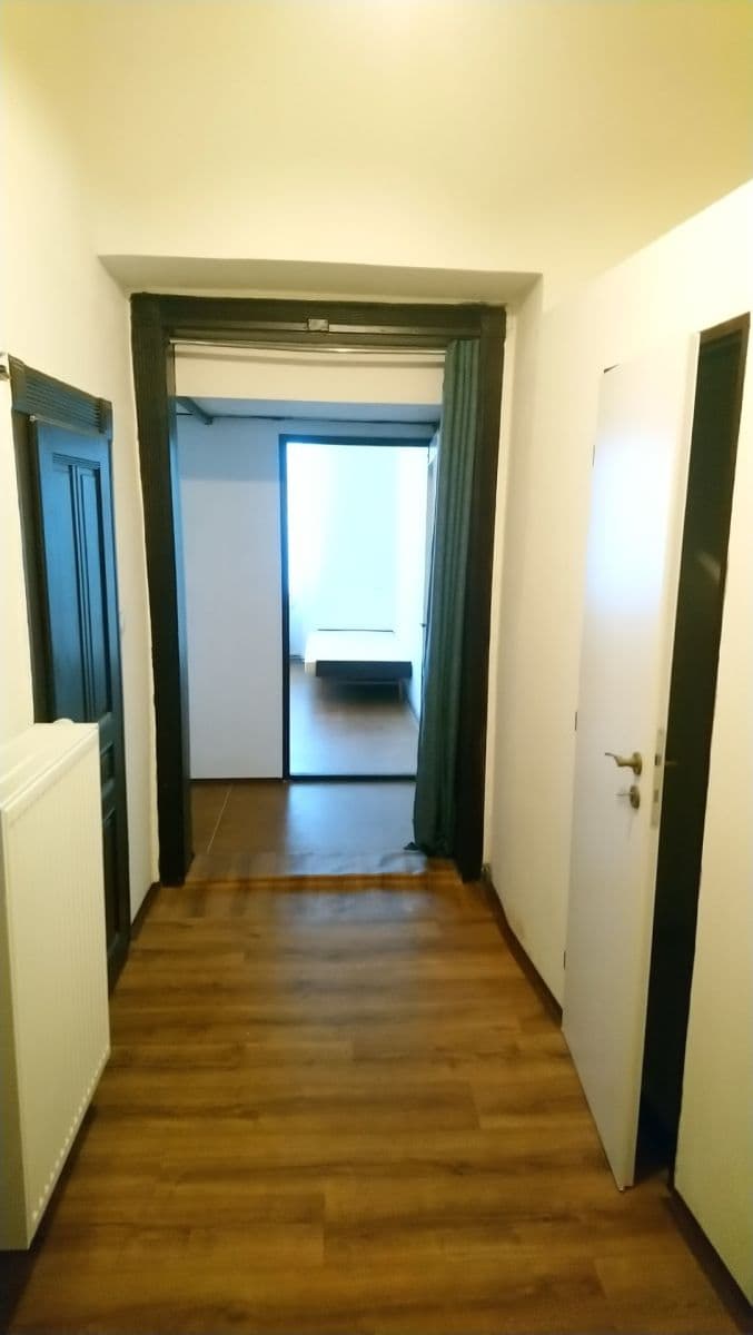1 bedroom with open-plan kitchen flat to rent, 52 m², Na Plzeňce, Prague, Prague 1 bedroom with open-plan kitchen flat to rent, 52 m², Na Plzeňce, Prague, Prague