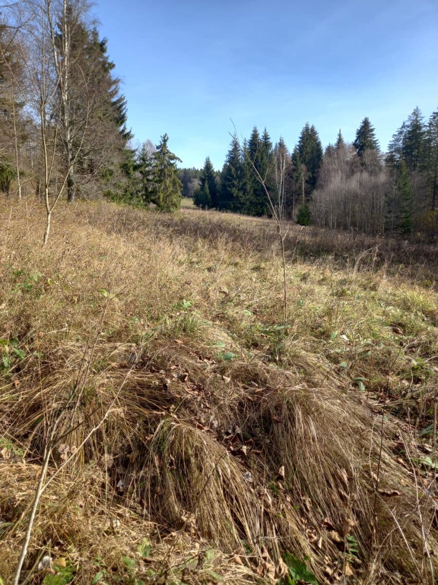 plot for sale, 1,000 m², Borová Lada, Jihočeský Region plot for sale, 1,000 m², Borová Lada, Jihočeský Region