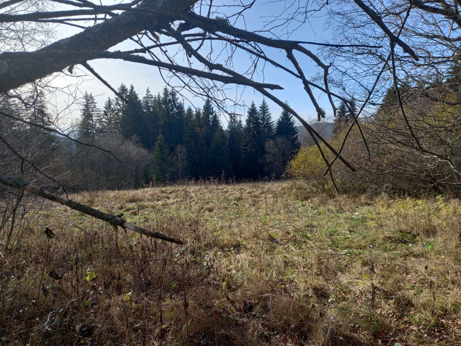 plot for sale, 1,000 m², Borová Lada, Jihočeský Region plot for sale, 1,000 m², Borová Lada, Jihočeský Region