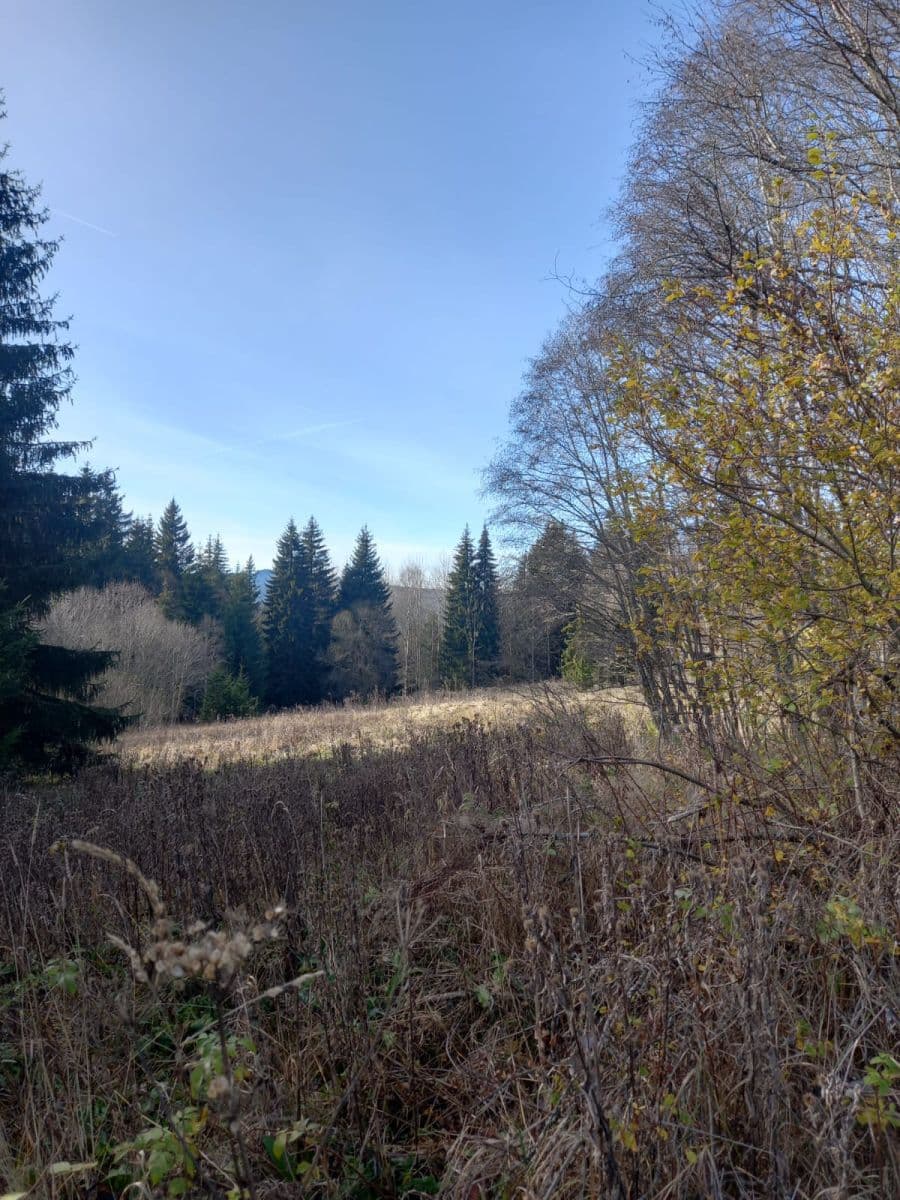 plot for sale, 1,000 m², Borová Lada, Jihočeský Region plot for sale, 1,000 m², Borová Lada, Jihočeský Region