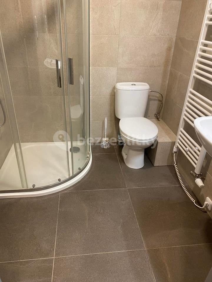 1 bedroom with open-plan kitchen flat to rent, 35 m², Strašice, Plzeňský Region 1 bedroom with open-plan kitchen flat to rent, 35 m², Strašice, Plzeňský Region