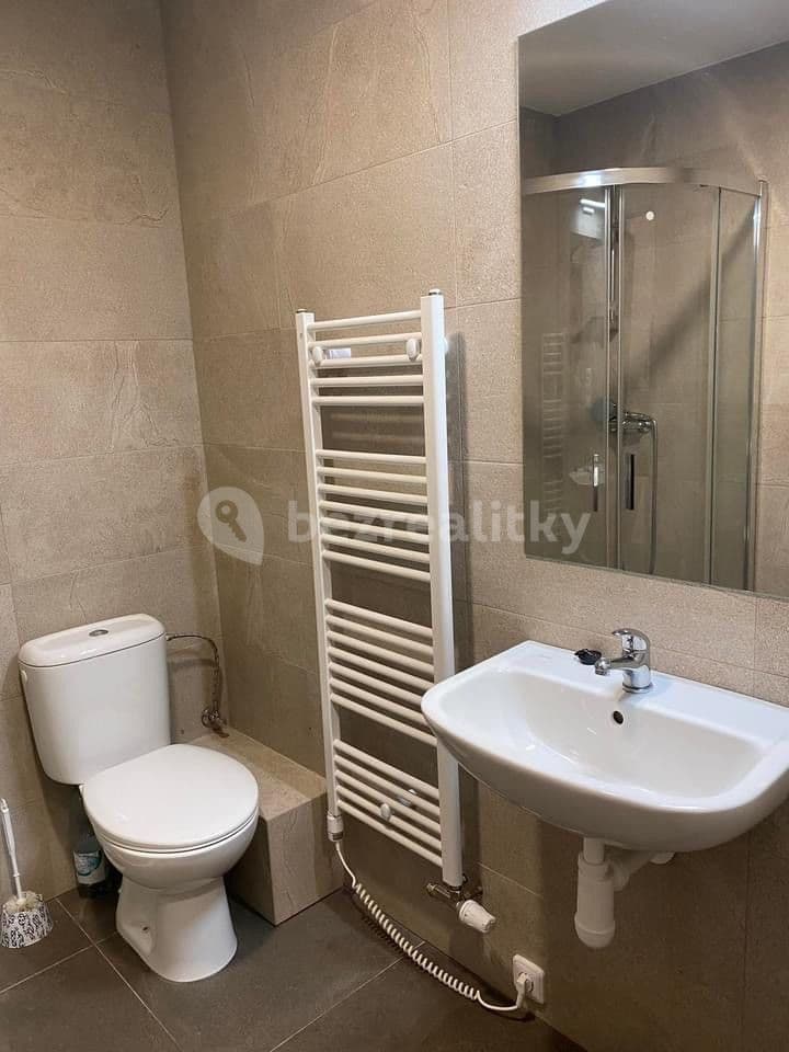 1 bedroom with open-plan kitchen flat to rent, 35 m², Strašice, Plzeňský Region 1 bedroom with open-plan kitchen flat to rent, 35 m², Strašice, Plzeňský Region