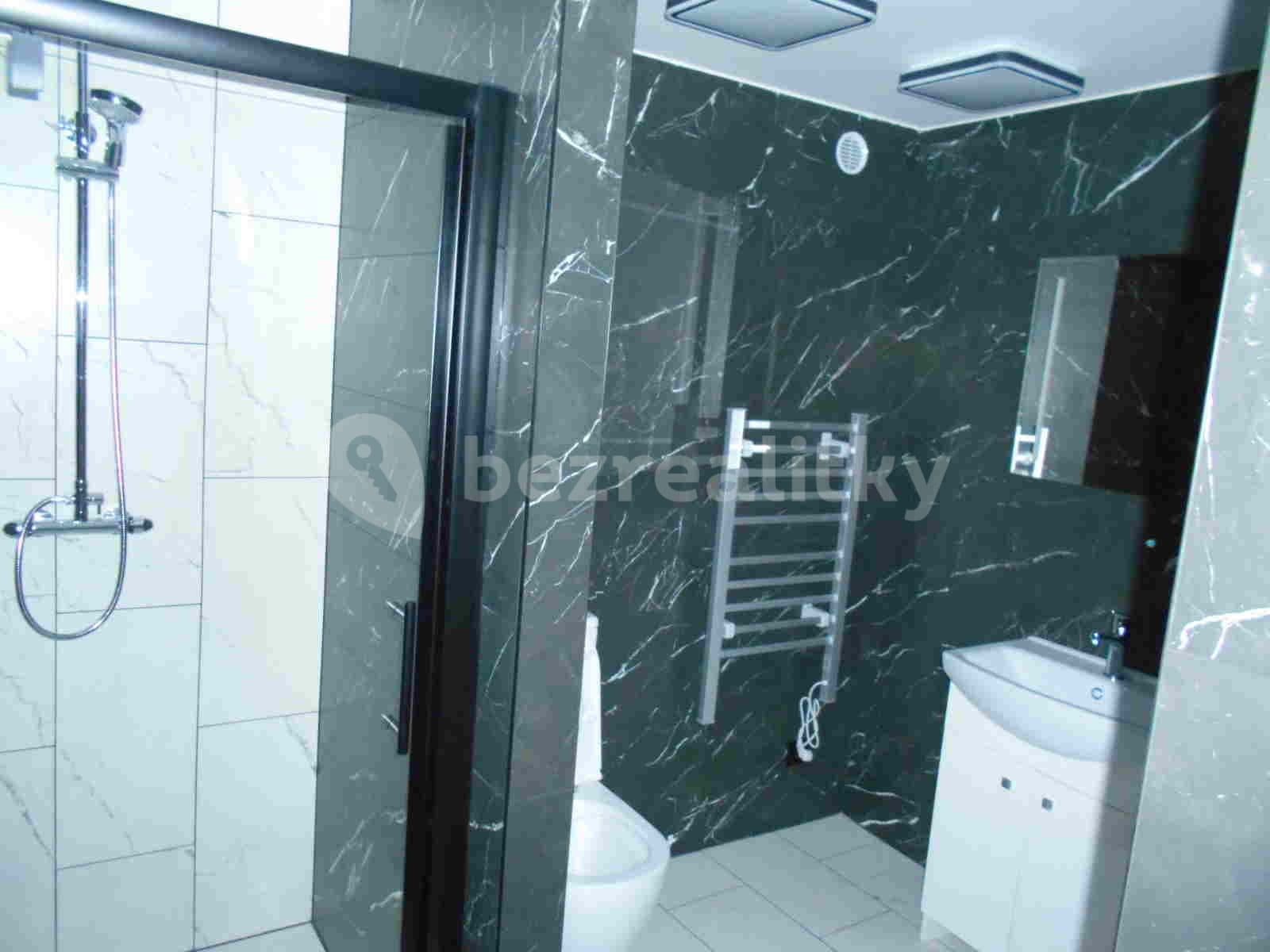 1 bedroom with open-plan kitchen flat to rent, 57 m², Česká, Louny, Ústecký Region 1 bedroom with open-plan kitchen flat to rent, 57 m², Česká, Louny, Ústecký Region