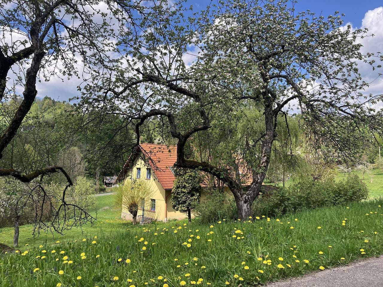 recreational property to rent, 0 m², Bozkov, Liberecký Region recreational property to rent, 0 m², Bozkov, Liberecký Region