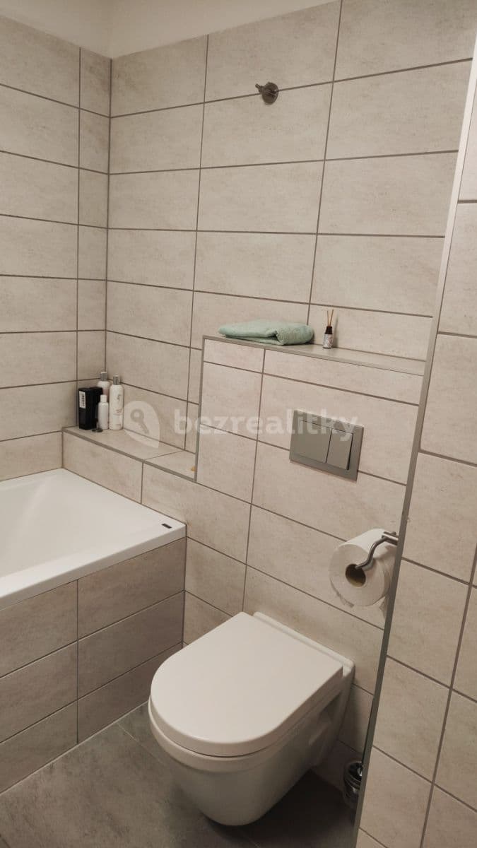1 bedroom with open-plan kitchen flat to rent, 44 m², V Závětří, Prague, Prague 1 bedroom with open-plan kitchen flat to rent, 44 m², V Závětří, Prague, Prague