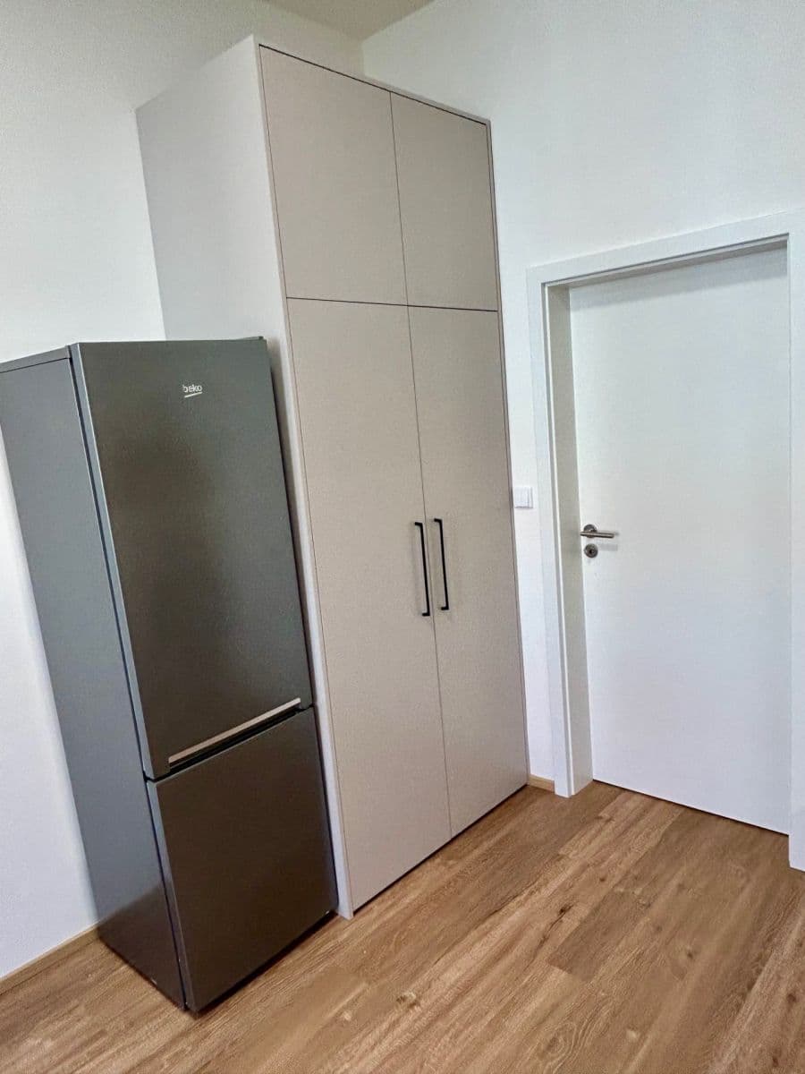 1 bedroom with open-plan kitchen flat to rent, 41 m², U Santošky, Prague, Prague 1 bedroom with open-plan kitchen flat to rent, 41 m², U Santošky, Prague, Prague