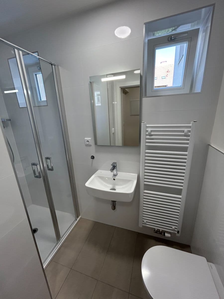 1 bedroom with open-plan kitchen flat to rent, 41 m², U Santošky, Prague, Prague 1 bedroom with open-plan kitchen flat to rent, 41 m², U Santošky, Prague, Prague