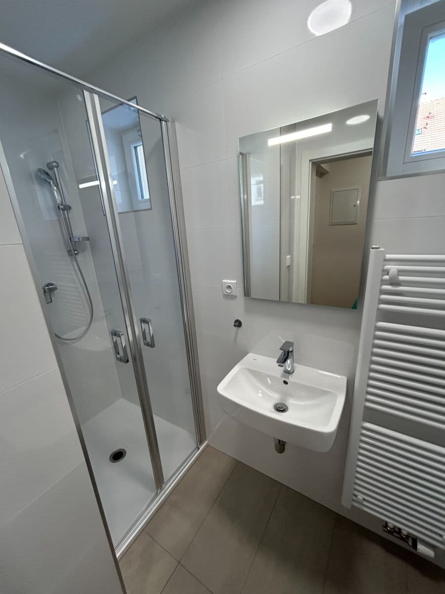 1 bedroom with open-plan kitchen flat to rent, 41 m², U Santošky, Prague, Prague 1 bedroom with open-plan kitchen flat to rent, 41 m², U Santošky, Prague, Prague