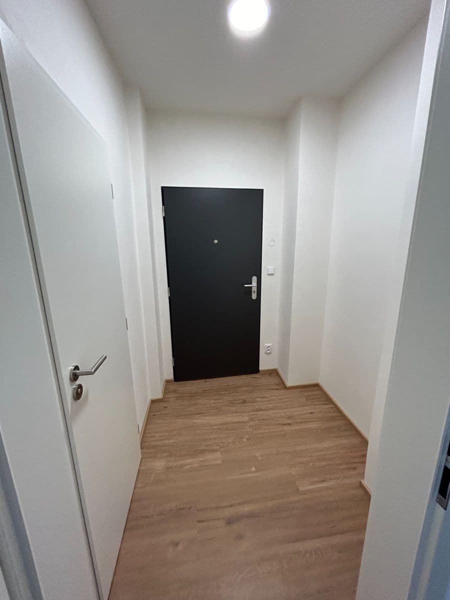 1 bedroom with open-plan kitchen flat to rent, 41 m², U Santošky, Prague, Prague 1 bedroom with open-plan kitchen flat to rent, 41 m², U Santošky, Prague, Prague