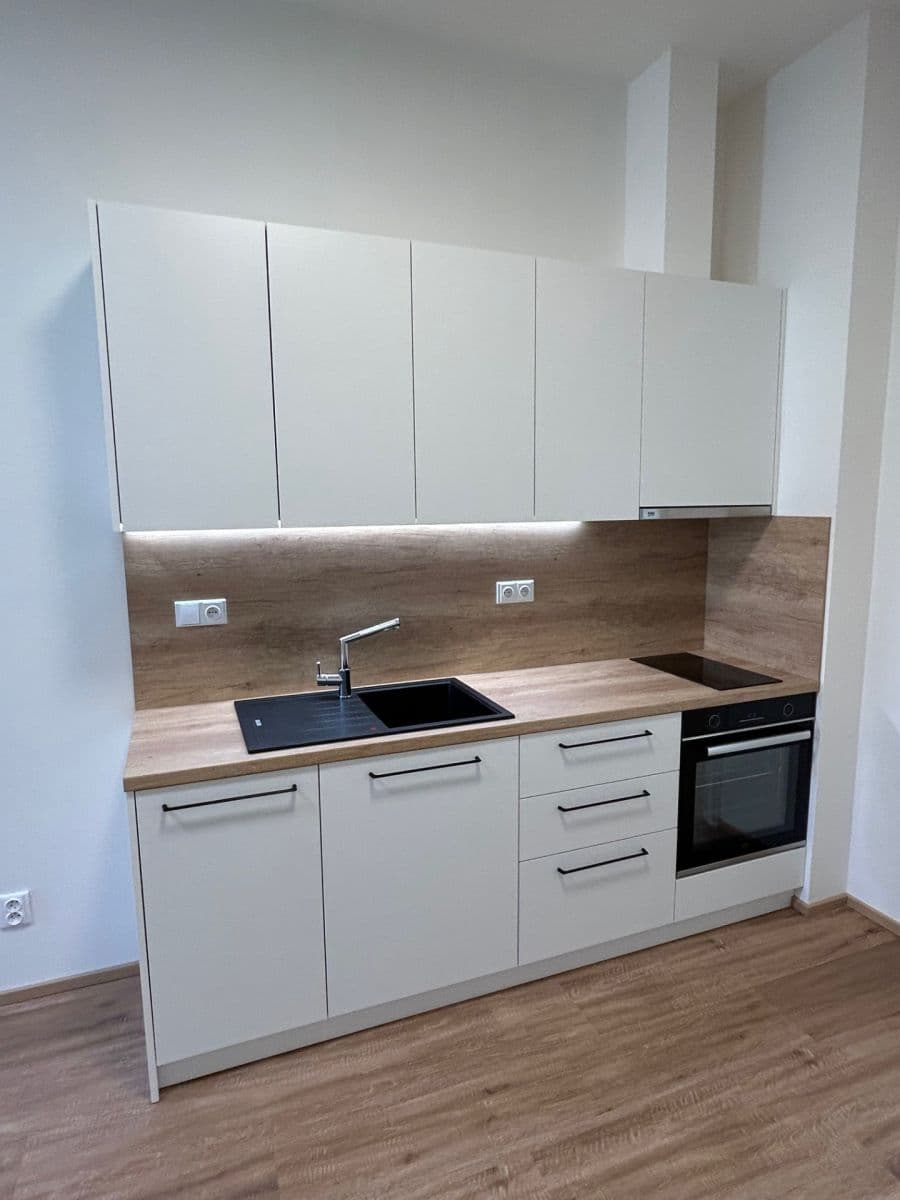 1 bedroom with open-plan kitchen flat to rent, 41 m², U Santošky, Prague, Prague 1 bedroom with open-plan kitchen flat to rent, 41 m², U Santošky, Prague, Prague