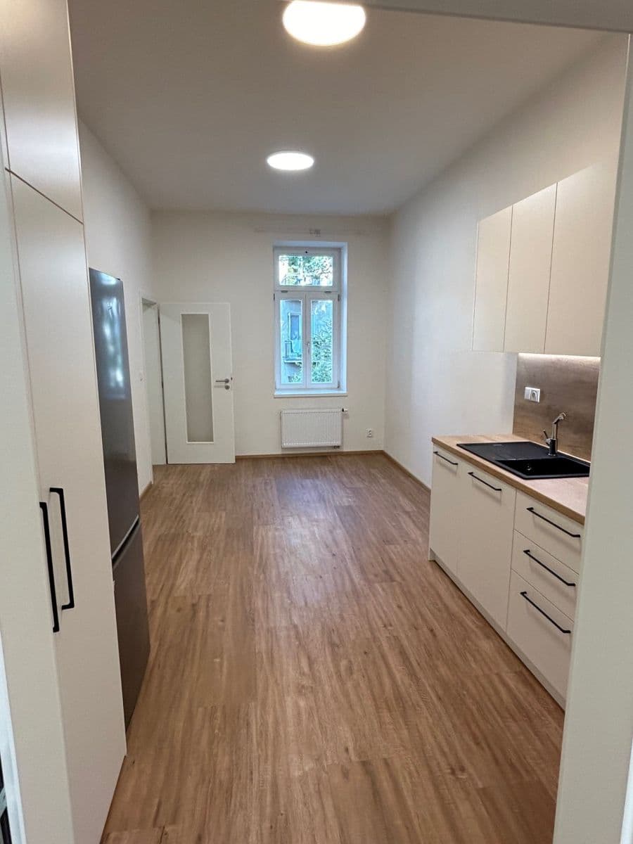 1 bedroom with open-plan kitchen flat to rent, 41 m², U Santošky, Prague, Prague 1 bedroom with open-plan kitchen flat to rent, 41 m², U Santošky, Prague, Prague