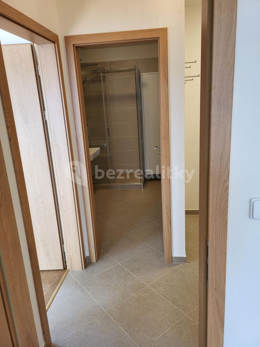 1 bedroom with open-plan kitchen flat to rent, 54 m², Pod Harfou, Prague, Prague 1 bedroom with open-plan kitchen flat to rent, 54 m², Pod Harfou, Prague, Prague