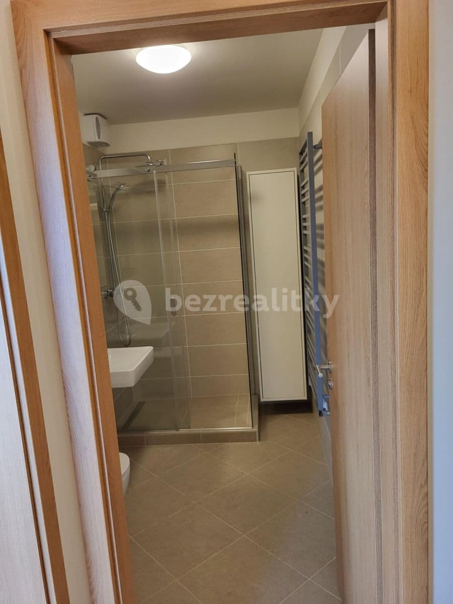 1 bedroom with open-plan kitchen flat to rent, 54 m², Pod Harfou, Prague, Prague 1 bedroom with open-plan kitchen flat to rent, 54 m², Pod Harfou, Prague, Prague