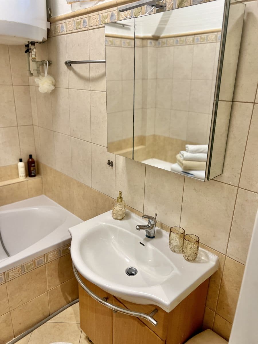 flat to rent, 25 m², Na Bitevní Pláni, Prague, Prague flat to rent, 25 m², Na Bitevní Pláni, Prague, Prague