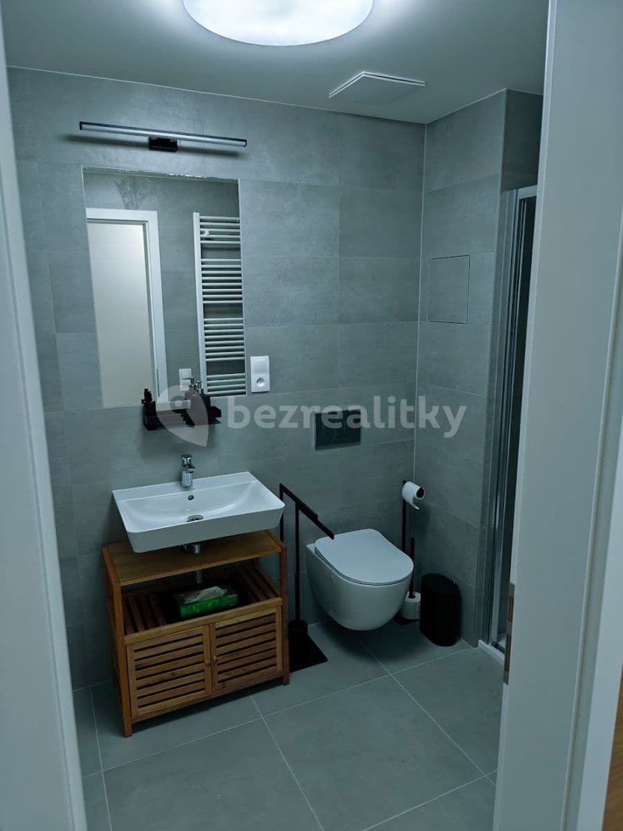 1 bedroom with open-plan kitchen flat to rent, 53 m², Nurmiho, Prague, Prague 1 bedroom with open-plan kitchen flat to rent, 53 m², Nurmiho, Prague, Prague