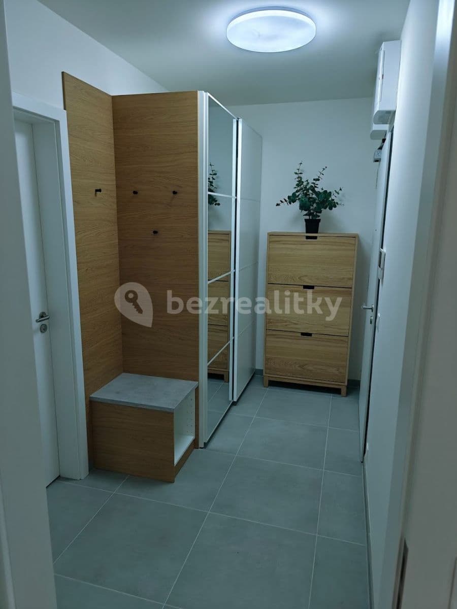 1 bedroom with open-plan kitchen flat to rent, 53 m², Nurmiho, Prague, Prague 1 bedroom with open-plan kitchen flat to rent, 53 m², Nurmiho, Prague, Prague
