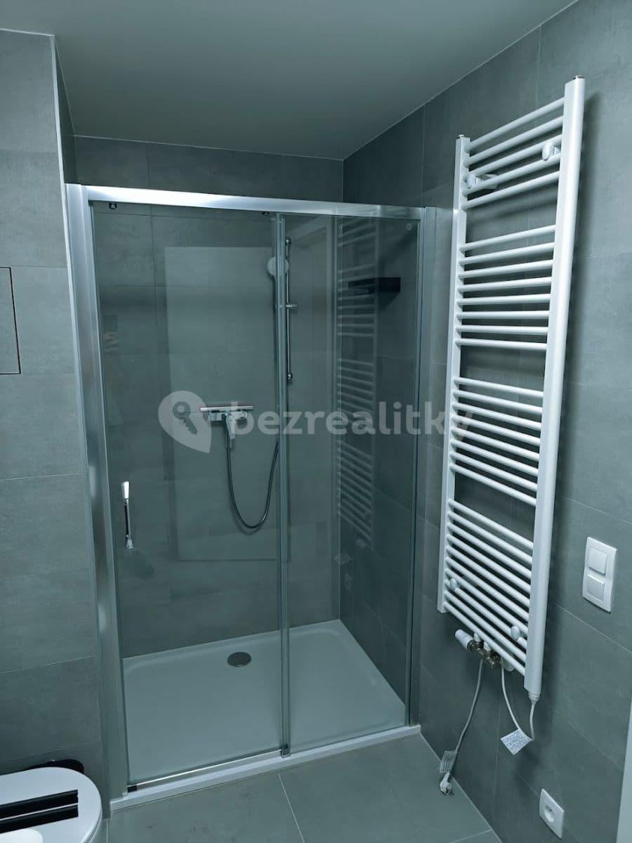 1 bedroom with open-plan kitchen flat to rent, 53 m², Nurmiho, Prague, Prague 1 bedroom with open-plan kitchen flat to rent, 53 m², Nurmiho, Prague, Prague