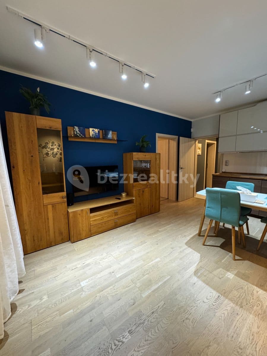 1 bedroom with open-plan kitchen flat to rent, 50 m², V Háji, Prague, Prague 1 bedroom with open-plan kitchen flat to rent, 50 m², V Háji, Prague, Prague