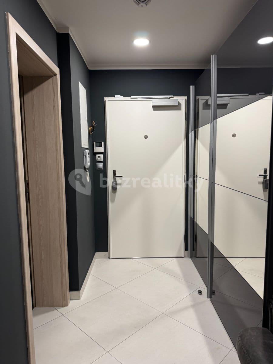 1 bedroom with open-plan kitchen flat to rent, 50 m², V Háji, Prague, Prague 1 bedroom with open-plan kitchen flat to rent, 50 m², V Háji, Prague, Prague