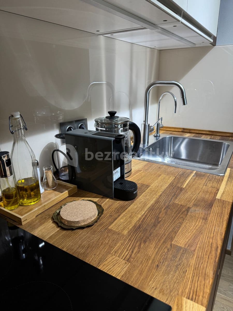 1 bedroom with open-plan kitchen flat to rent, 50 m², V Háji, Prague, Prague 1 bedroom with open-plan kitchen flat to rent, 50 m², V Háji, Prague, Prague