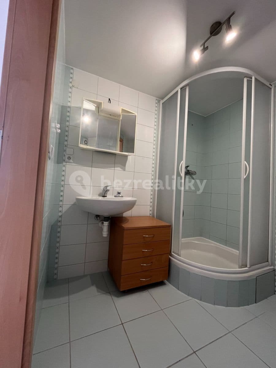 2 bedroom with open-plan kitchen flat to rent, 120 m², Bohatcova, Brno, Jihomoravský Region 2 bedroom with open-plan kitchen flat to rent, 120 m², Bohatcova, Brno, Jihomoravský Region