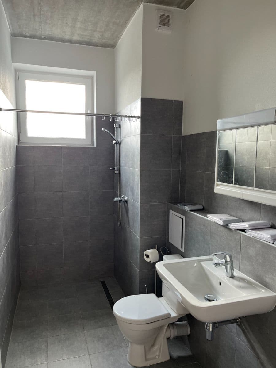 1 bedroom with open-plan kitchen flat to rent, 45 m², U Uhříněveské obory, Prague, Prague 1 bedroom with open-plan kitchen flat to rent, 45 m², U Uhříněveské obory, Prague, Prague