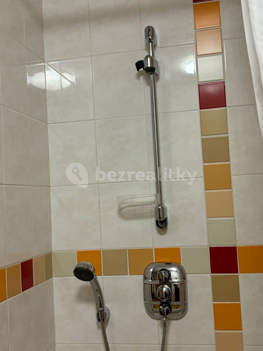 Studio flat to rent, 8 m², Roztylské sady, Prague, Prague Studio flat to rent, 8 m², Roztylské sady, Prague, Prague