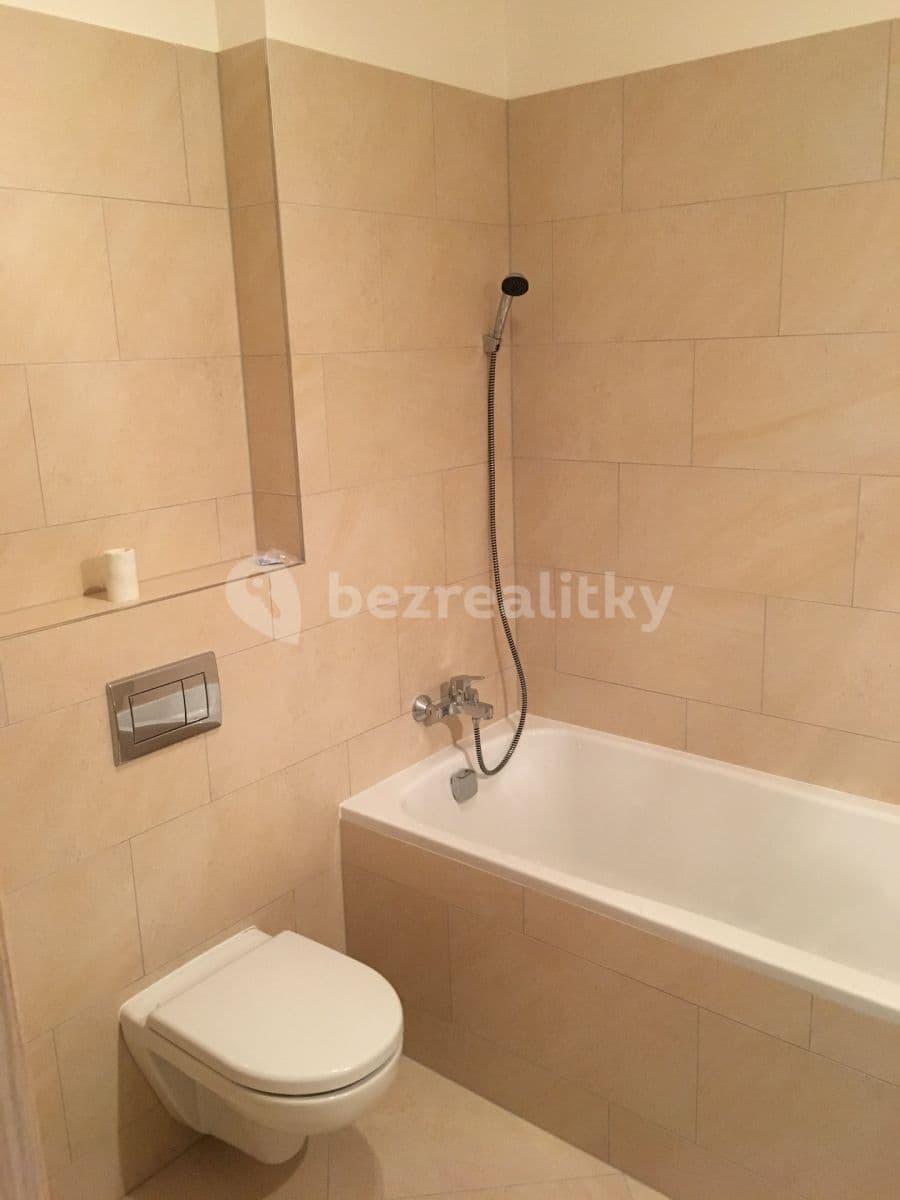 1 bedroom with open-plan kitchen flat to rent, 55 m², Mantovská, Prague, Prague 1 bedroom with open-plan kitchen flat to rent, 55 m², Mantovská, Prague, Prague