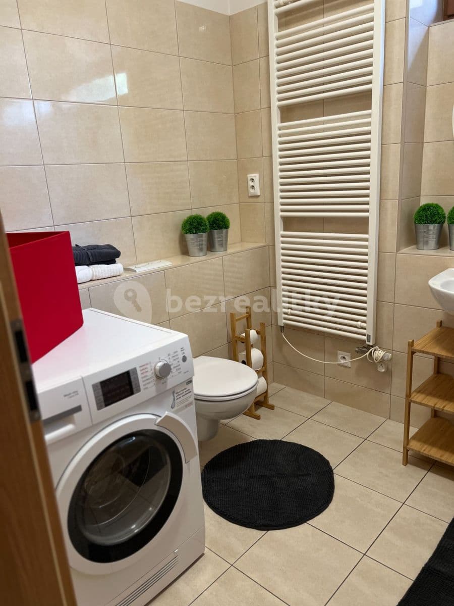 1 bedroom with open-plan kitchen flat to rent, 56 m², Varhulíkové, Prague, Prague 1 bedroom with open-plan kitchen flat to rent, 56 m², Varhulíkové, Prague, Prague