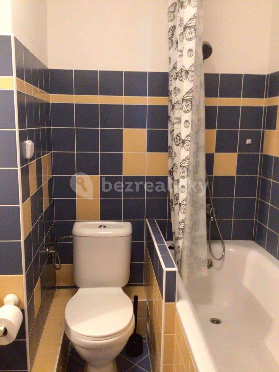 Studio flat to rent, 32 m², Benkova, Prague, Prague Studio flat to rent, 32 m², Benkova, Prague, Prague