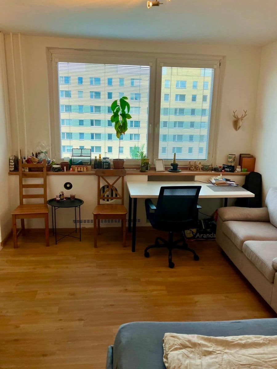 Studio flat to rent, 32 m², Benkova, Prague, Prague Studio flat to rent, 32 m², Benkova, Prague, Prague