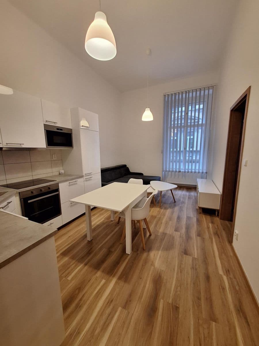 1 bedroom with open-plan kitchen flat to rent, 49 m², Mikovcova, Prague, Prague 1 bedroom with open-plan kitchen flat to rent, 49 m², Mikovcova, Prague, Prague