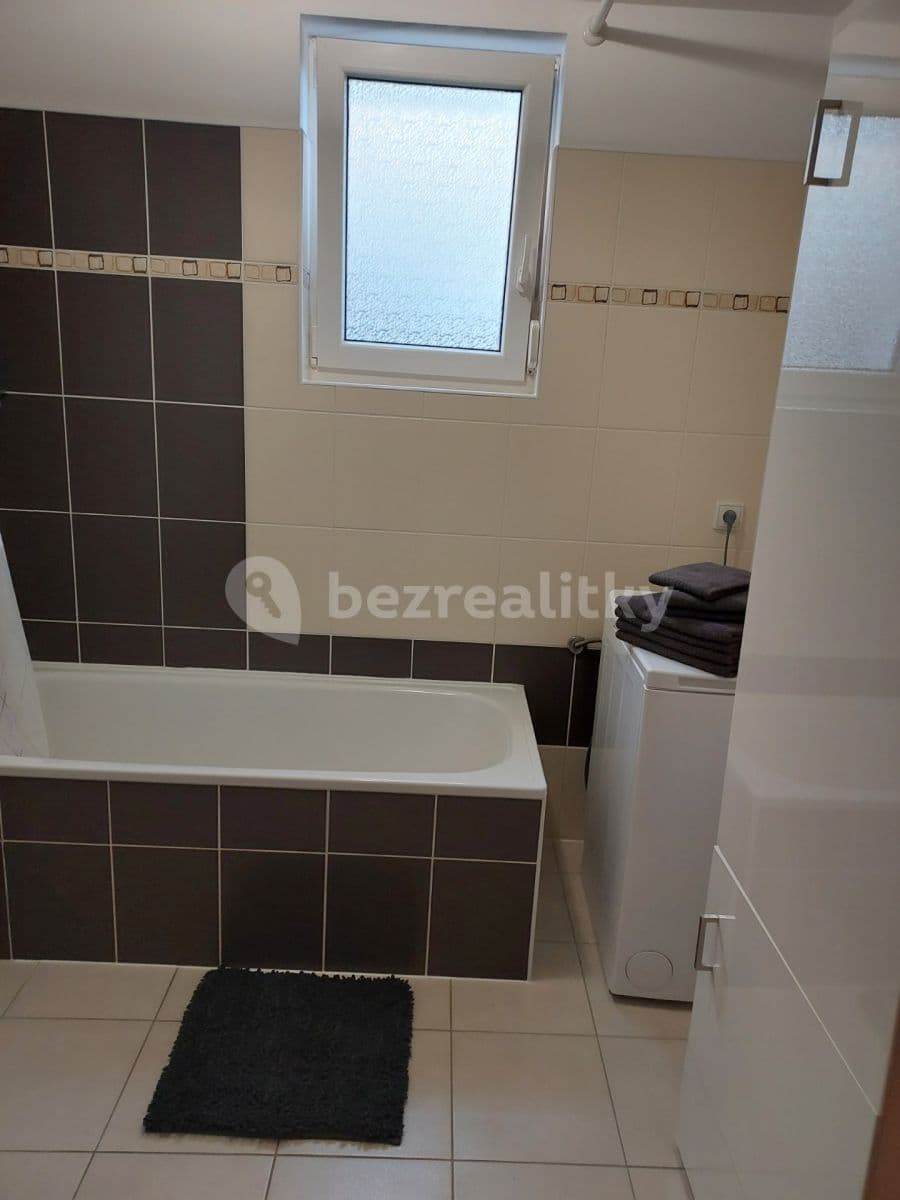 1 bedroom with open-plan kitchen flat to rent, 54 m², Rudolfa Holeky, Prague, Prague 1 bedroom with open-plan kitchen flat to rent, 54 m², Rudolfa Holeky, Prague, Prague